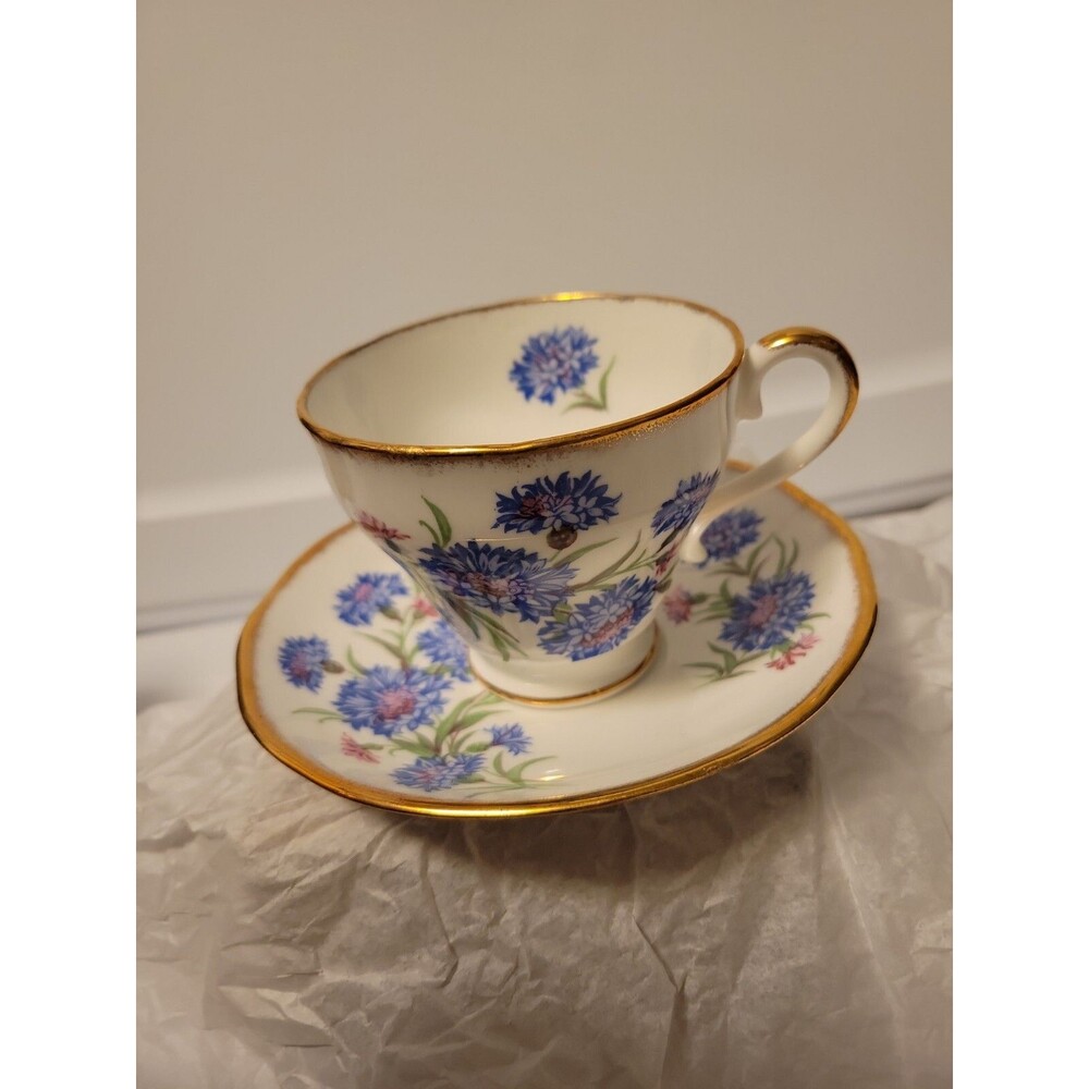 Vintage Salisbury Bone China Teacup & Saucer Set Floral Pattern w/ Gold Accents